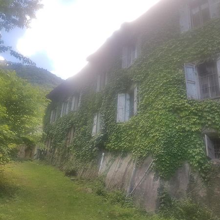 La Stanza Del Bosco Appartement Arcumeggia Buitenkant foto