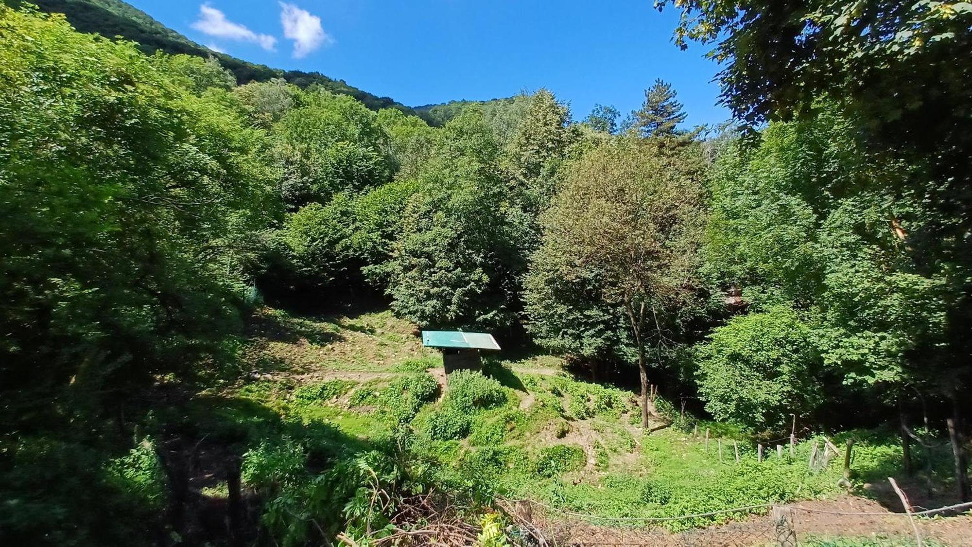 La Stanza Del Bosco Appartement Arcumeggia Buitenkant foto