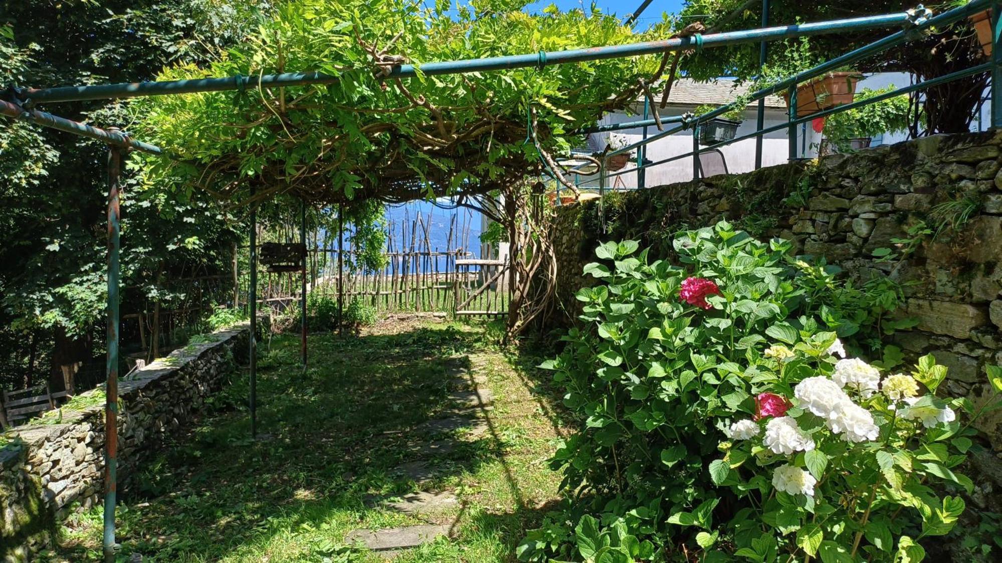 La Stanza Del Bosco Appartement Arcumeggia Buitenkant foto