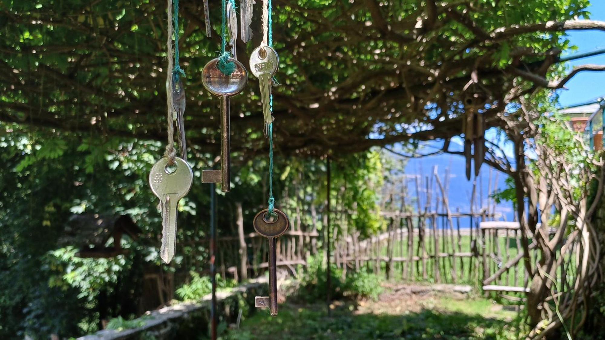 La Stanza Del Bosco Appartement Arcumeggia Buitenkant foto